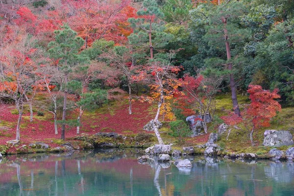 Японский осенний сад — стоковое фото
