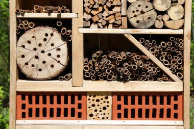 böcekler için otel