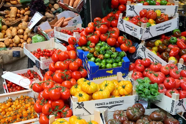 Odmiany pomidorów w sklepie — Zdjęcie stockowe