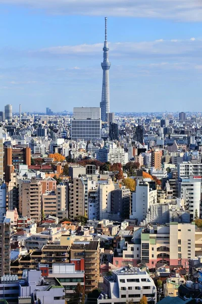 Tokyo, Giappone — Foto Stock