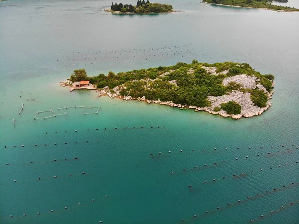 Croatia oyster farms — Stock Photo, Image