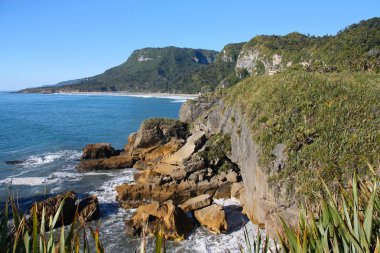 paparoa Milli Parkı