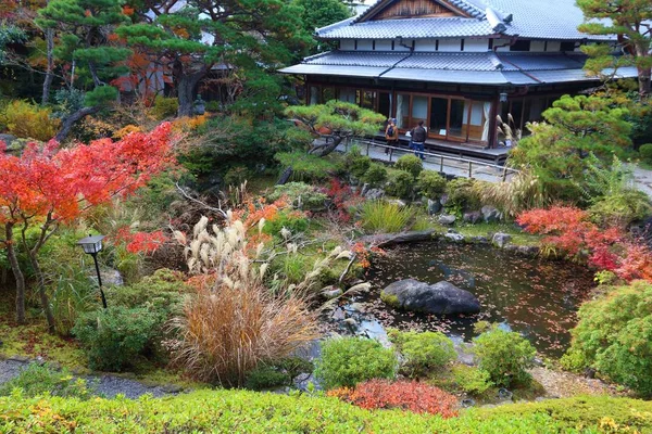 Jardin de thé japonais — Photo