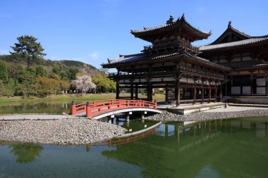 Japonya dönüm noktası - Uji