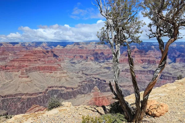 Parc national du Grand Canyon — Photo