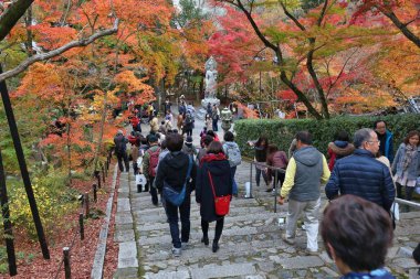 Japonya sonbahar turistler
