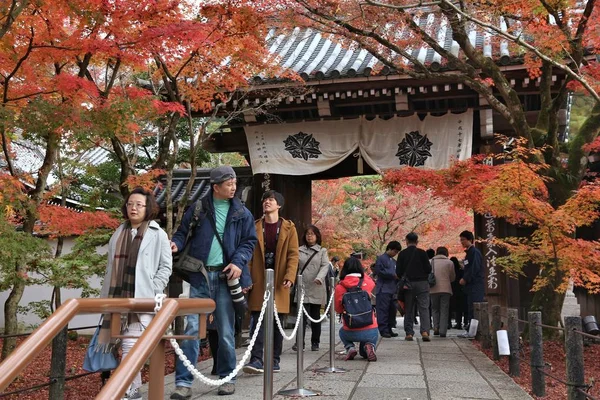 Kyoto podzimního listí — Stock fotografie