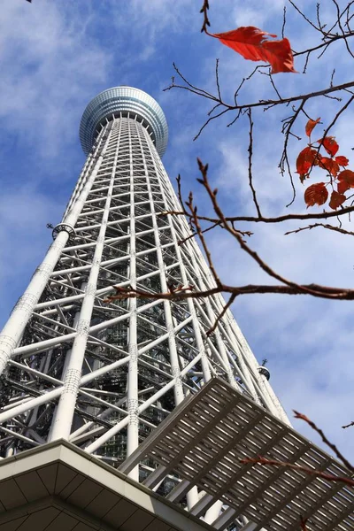 Tokio, Japón — Foto de Stock