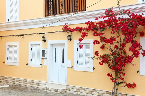 Bougainvillea in Griechenland — Stockfoto