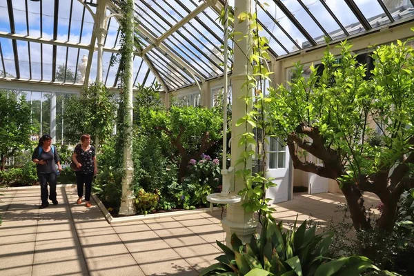 Invernadero Kew Gardens — Foto de Stock