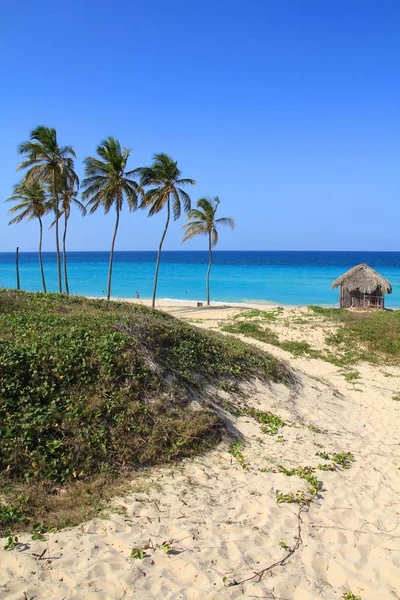 キューバ ビーチ — ストック写真