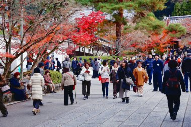 Kyoto turistler
