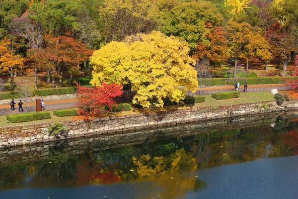 日本の紅葉 — ストック写真