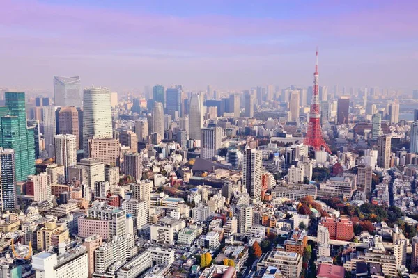 Tokyo şehir havadan görünümü — Stok fotoğraf
