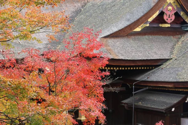 Kitano Tenmangu, Kyoto — Stock Photo, Image