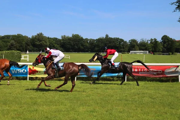 パーティーニース競馬 — ストック写真