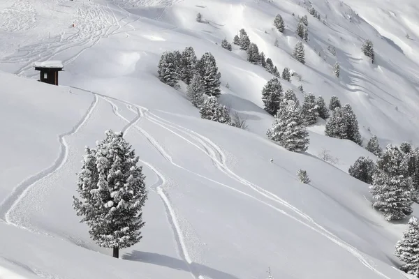 Fuera de pista de esquí — Foto de Stock