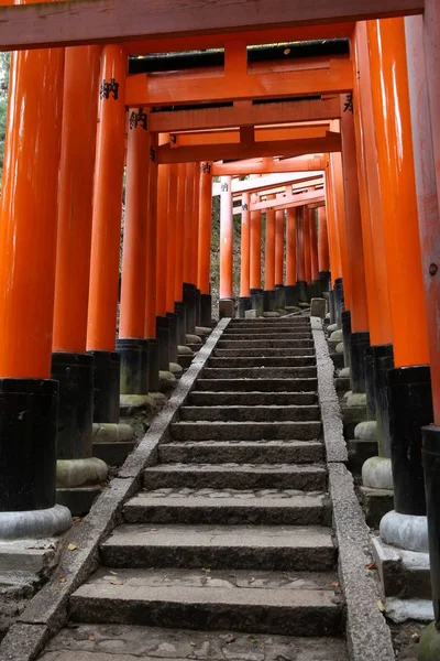 Fushimi Inari — Stock Photo, Image