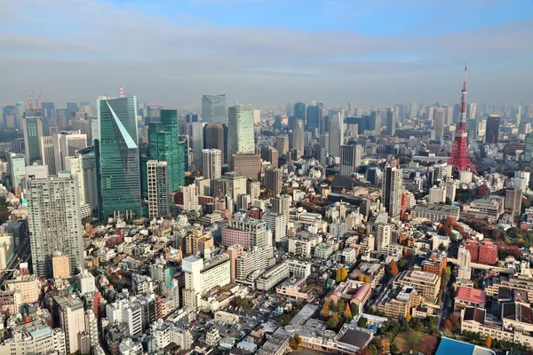 Letecký pohled na Tokio — Stock fotografie