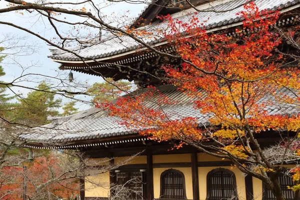 Follaje otoñal Kyoto — Foto de Stock