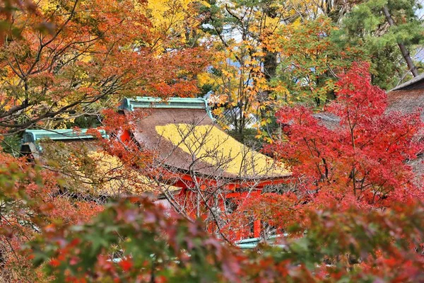Kyoto autumn — Stock Photo, Image