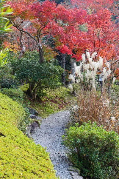 Nara, Japonia — Zdjęcie stockowe