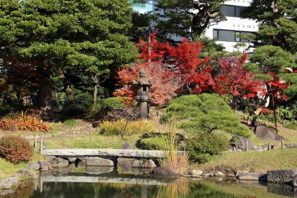 Японський сад осінь — стокове фото