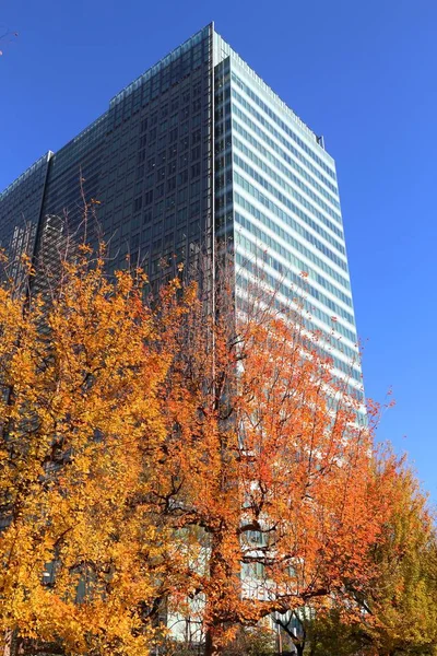 Tokyo autumn — Stock Photo, Image