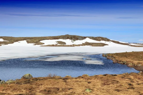 Norja Hardangervidda luonto — kuvapankkivalokuva