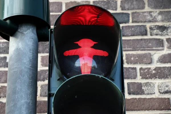 Światło czerwone dla pieszych — Zdjęcie stockowe