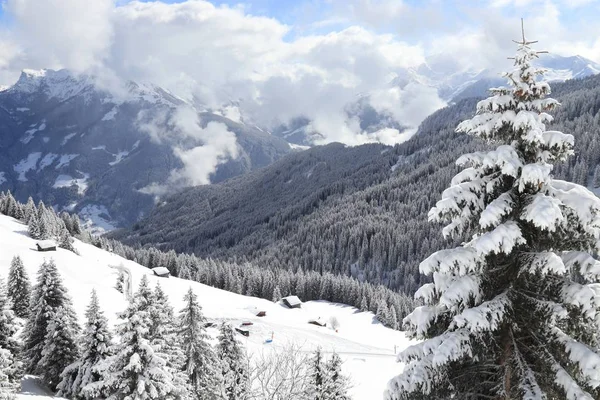 Zillertal mountains, Austria — Stockfoto
