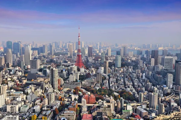 Panorama města tokyo — Stock fotografie