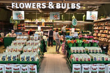 Amsterdam çiçek dükkanı