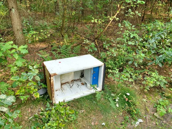 Fridge in forest — Stock Photo, Image