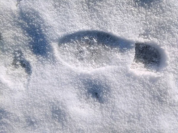 Snow shoe track — Stock Photo, Image