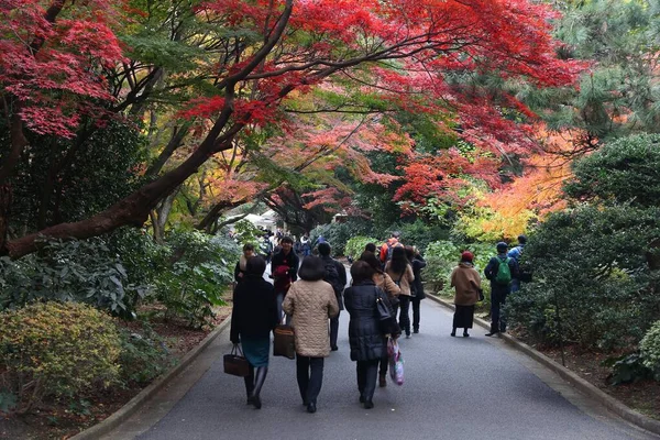 Parque Shinjuku Gyoen, Tóquio — Fotografia de Stock