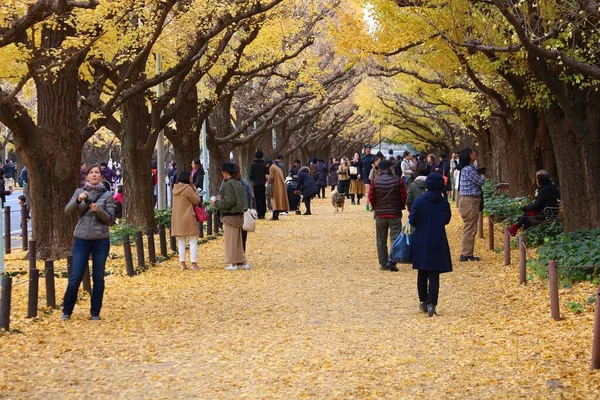 Avenida Ginkgo em Tóquio — Fotografia de Stock