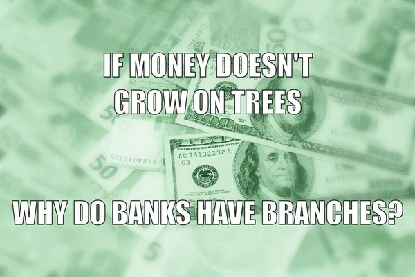 Money on trees — Stock Photo, Image