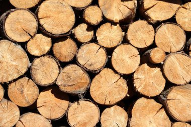 Stacked fire wood clipart