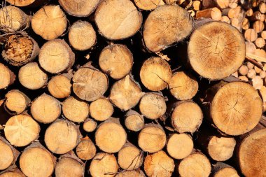 Firewood background clipart