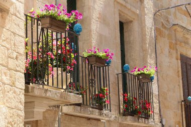 İtalya - Karabasan Polignano. İtalya 'da güzel çiçekli balkonlar. Petunya çiçekleri.