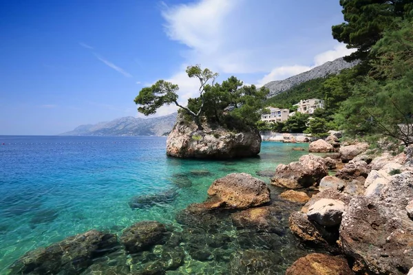 Brela, Croatia. Natural landmark miniature rock island with sturdy pine trees. Punta Rata.