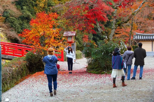2016年11月22日大阪府近郊の明治の森美濃国定公園を訪れる 公園は壮大な秋の景色で知られています — ストック写真