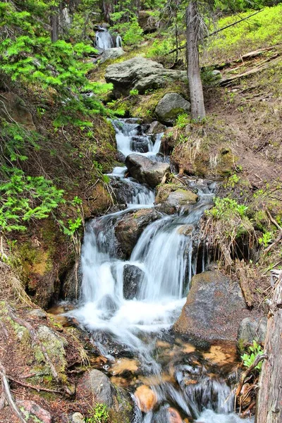 Amerikas Skogsnatur Rocky Mountain National Park Colorado Usa Alpina Vattendrag — Stockfoto