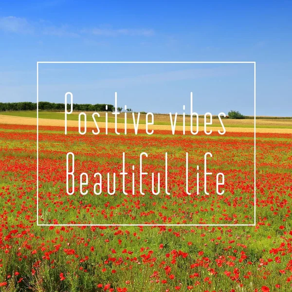 Pozitivní Vibrace Krásný Život Motivační Citační Plakát Motivace Úspěchu — Stock fotografie