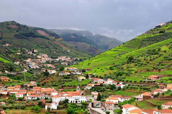 Peso Regua Valle Del Duero Portugal Viñedo Paisaje Rural Alto — Foto de Stock