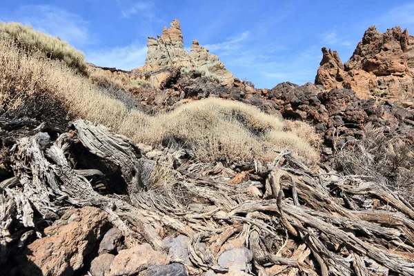 Paisagem Vulcânica Parque Nacional Teide Ilha Tenerife Espanha — Fotografia de Stock