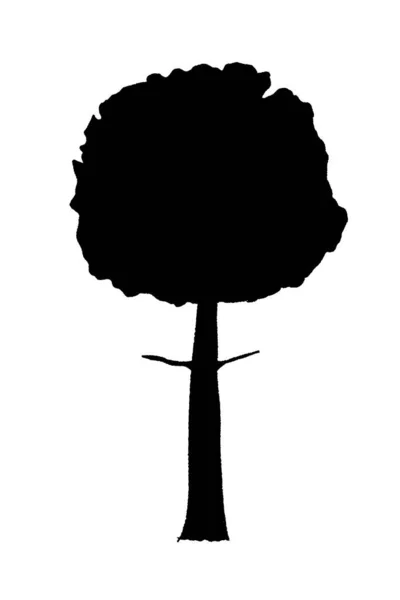 Векторная Иллюстрация Формы Дерева Изолированный Силуэт Дерева Ручной Работы — стоковый вектор