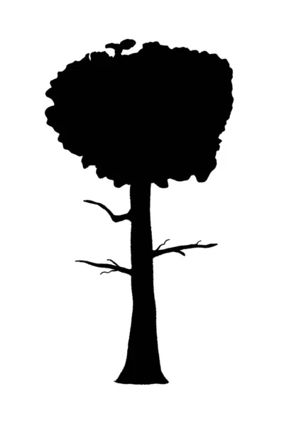 Tree Silhouette Vector Hand Drawn Isolated Tree — Stock Vector