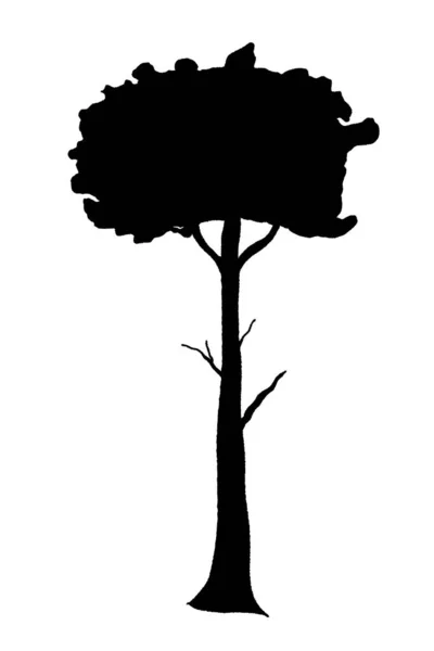 Illustrazione Vettoriale Della Forma Dell Albero Silhouette Albero Isolata Disegnata — Vettoriale Stock